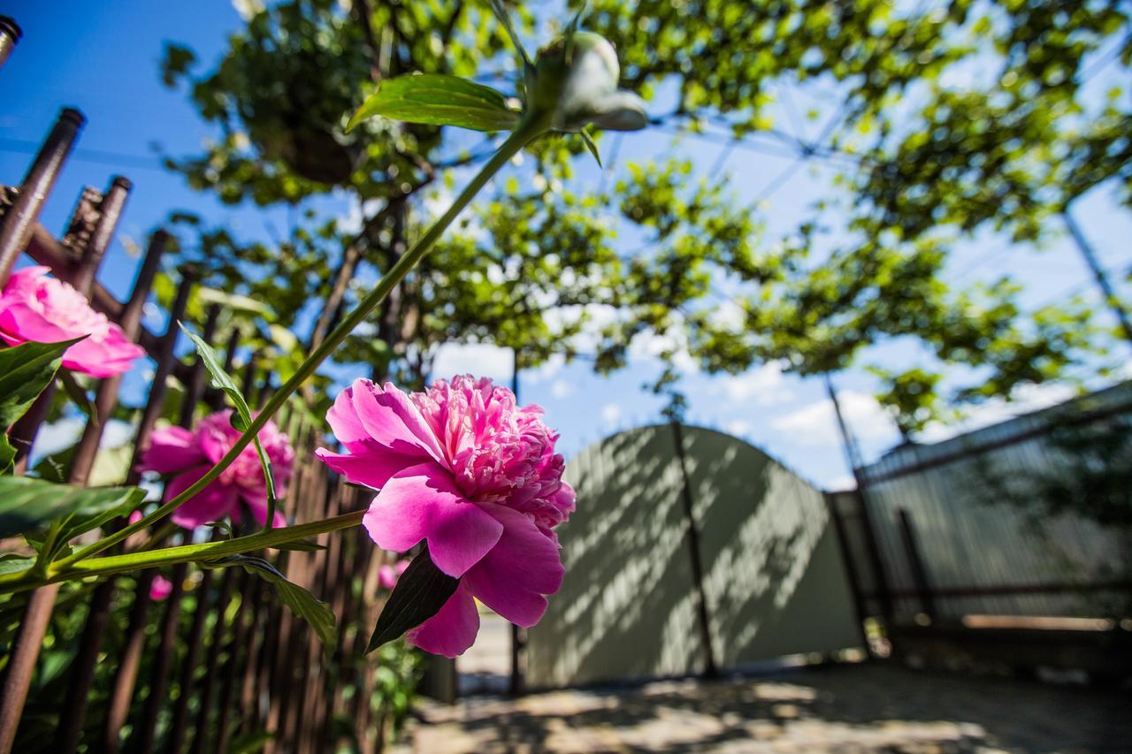 Guest House In Drachino Svalyava Luaran gambar