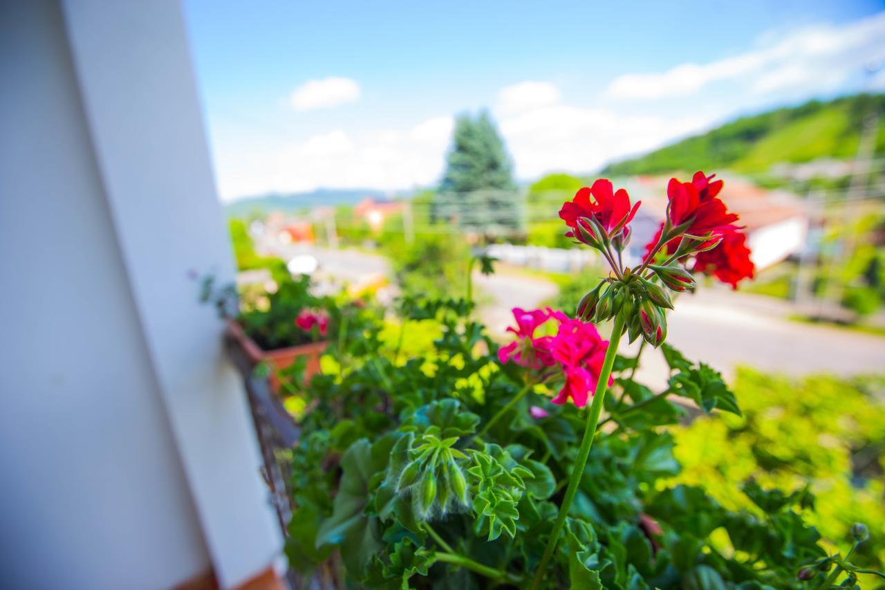 Guest House In Drachino Svalyava Luaran gambar
